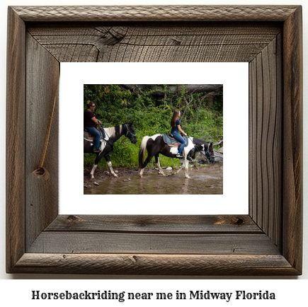 horseback riding near me in Midway, Florida